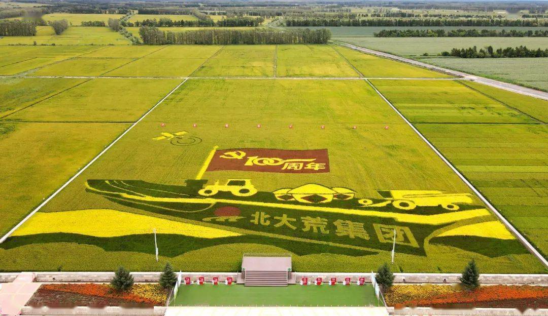 北大荒集团庆丰年视频展播农场场长道丰收十五