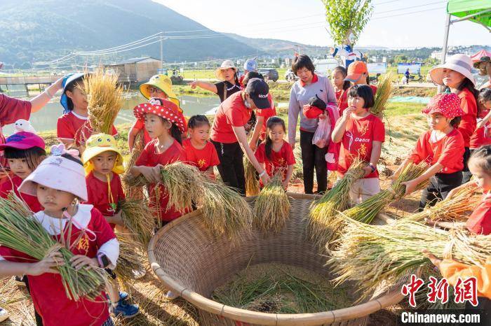 游客在云南大理田间体验传统农耕文化