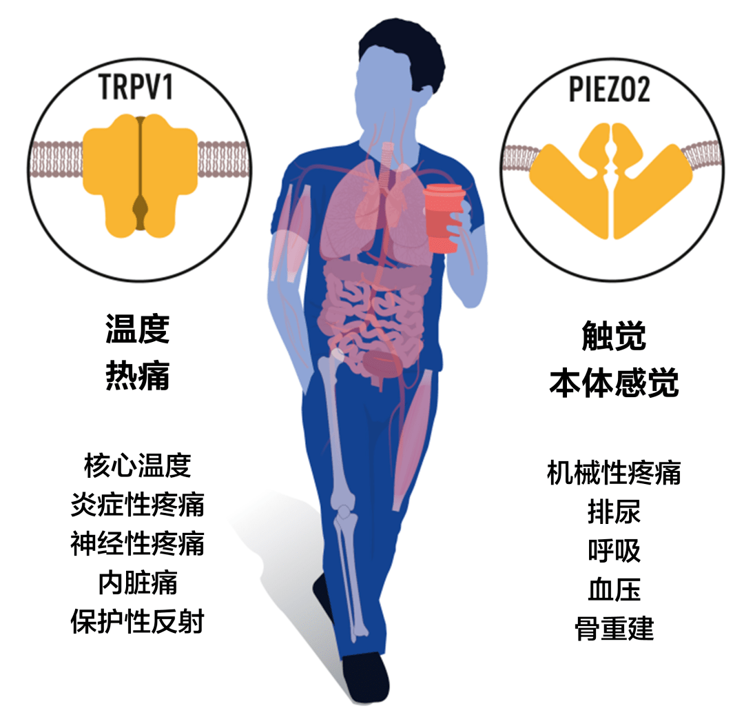 2a8f661c176a4ecaae5658a46c12a056.png
