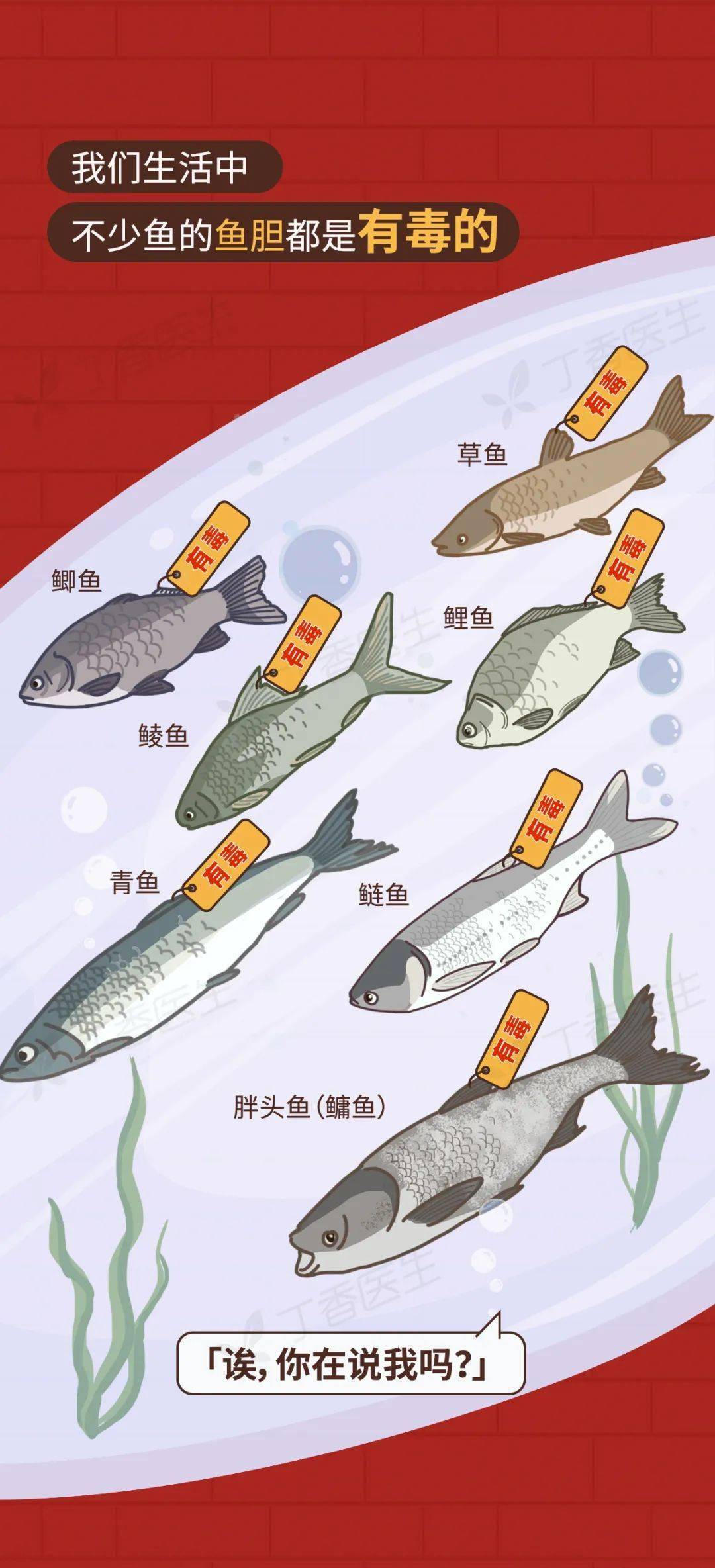 吃鱼胆中毒后会出现恶心,呕吐,肚子疼等症状严重的还会伤害内脏器官