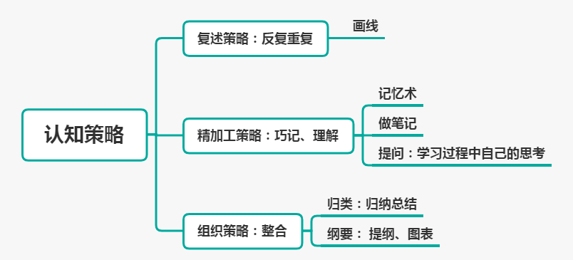 小学科目二丨学习策略_认知