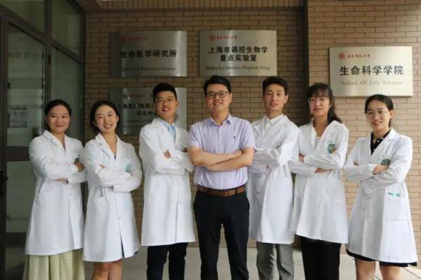 叶海峰|中国科学家造出生命“光开关”