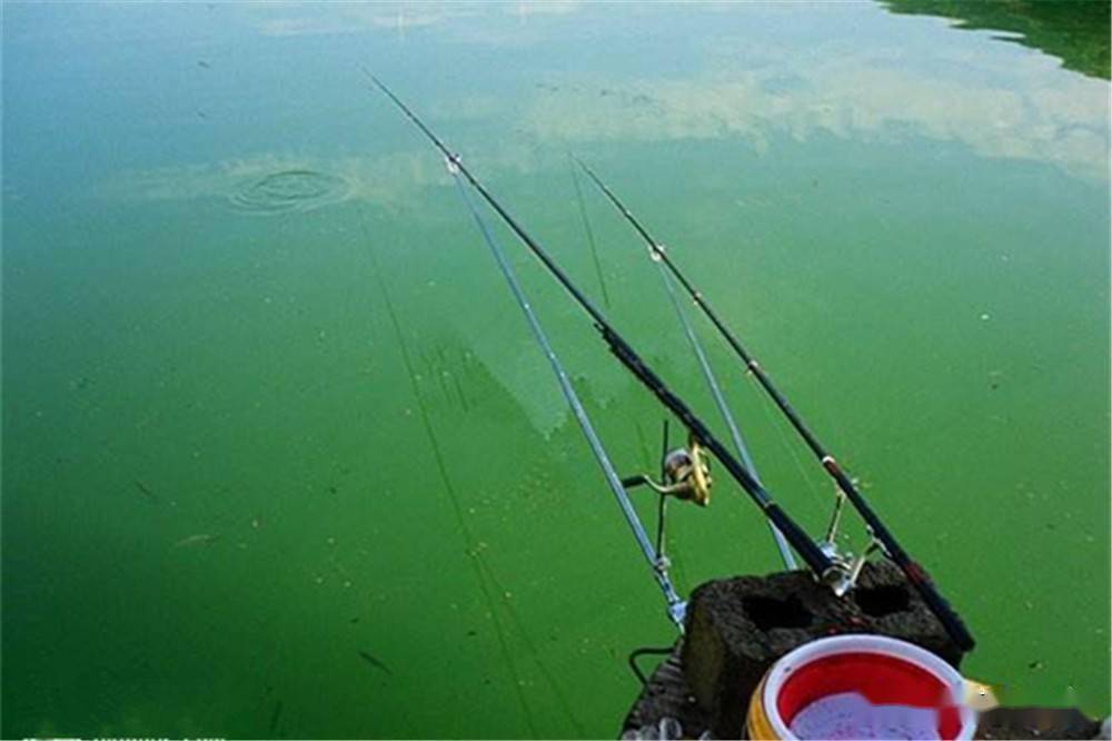 什么是滑漂钓鱼 64f55716a8f5470984ac22ed486cdb76.jpeg