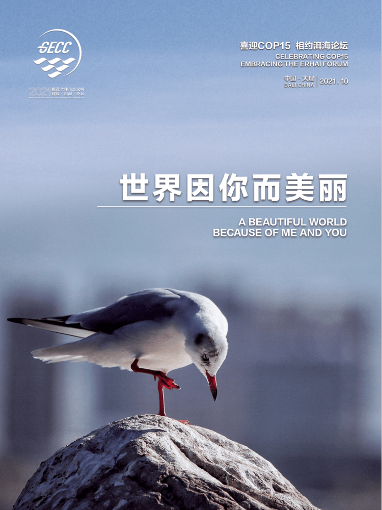 喜迎cop15相约洱海论坛宣传片花海报看这里