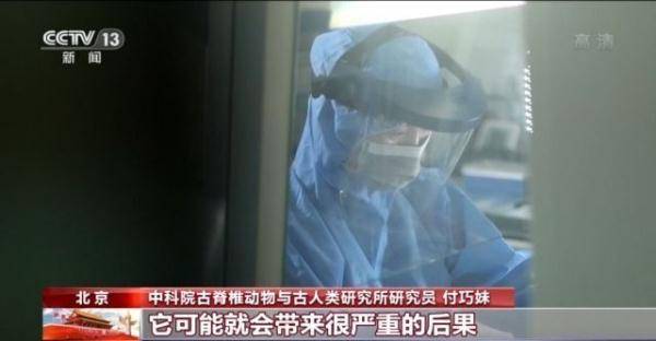 终极|付巧妹：破译人类古DNA密码 人类演化本身就是终极命题