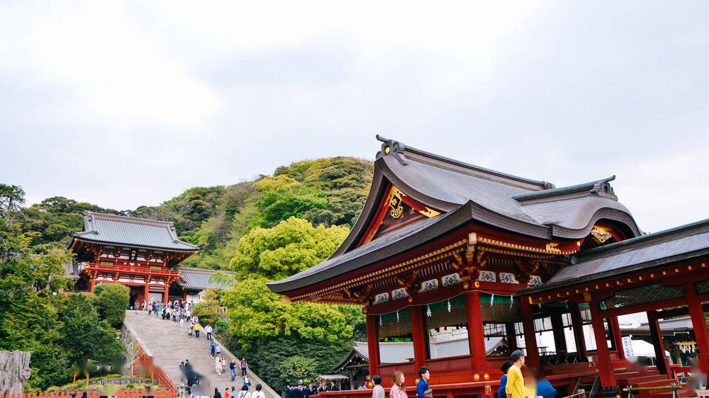 鹤岗八幡宫,镰仓地标建筑物,十分古朴