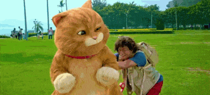 一起来听猫放屁杀伤力堪比生化武器