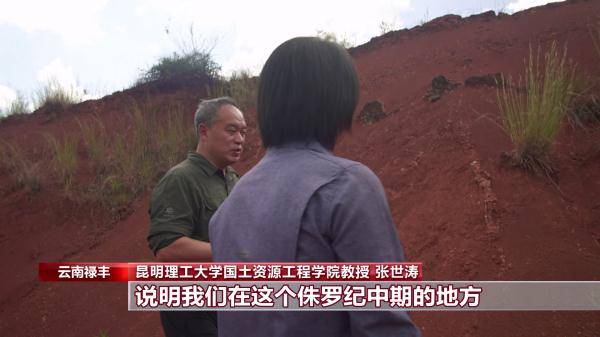 侏罗纪|云南禄丰恐龙科考工作进入“啃硬骨头”阶段 恐龙化石是如何修复的呢？