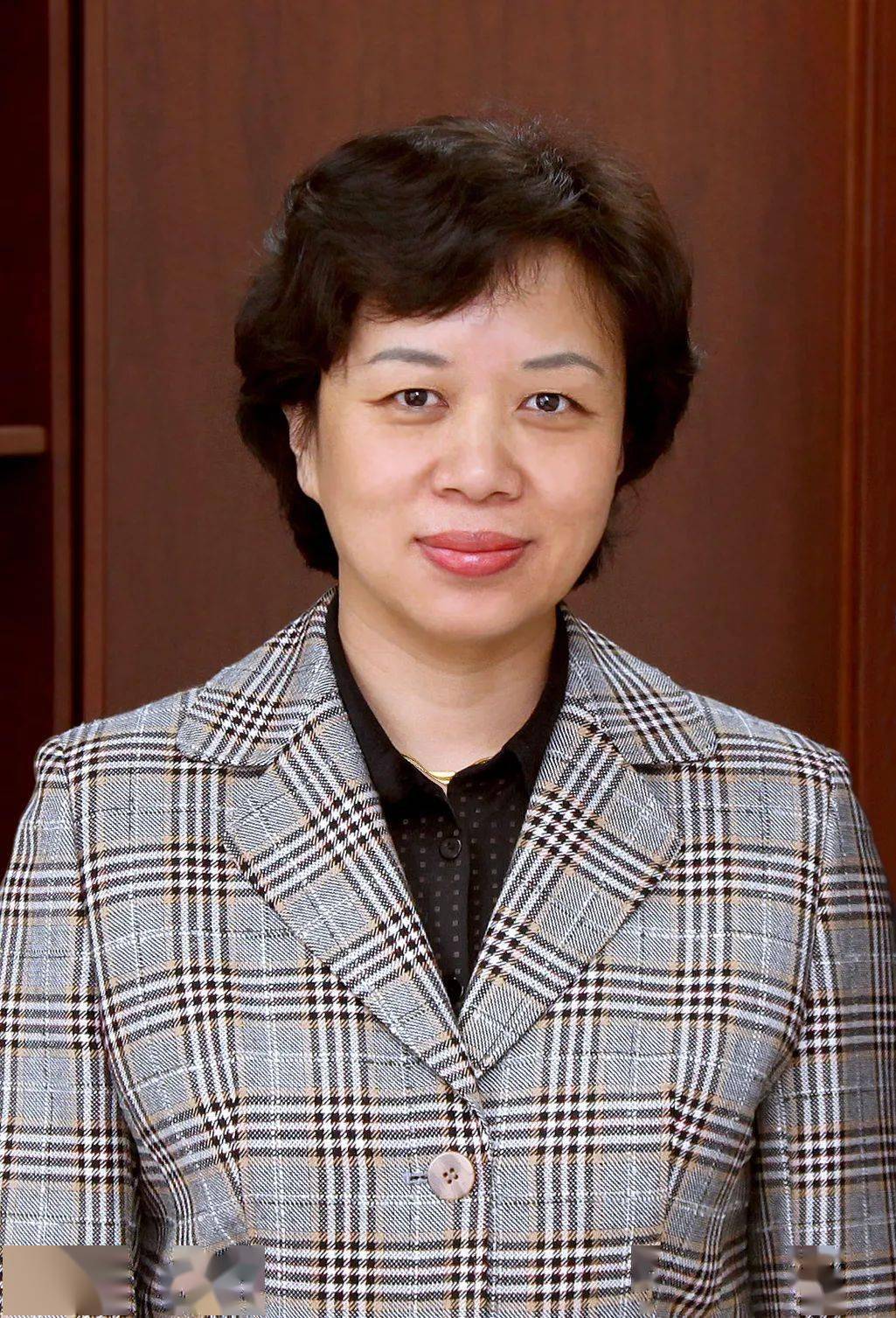 陈实中国外文局副总编辑,中国对外书刊出版发行中心(国际传播发展中心