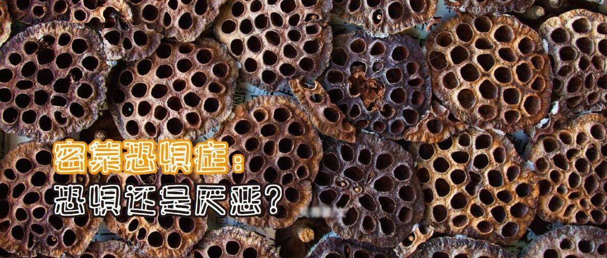 密集恐惧症:恐惧还是厌恶?_有毒