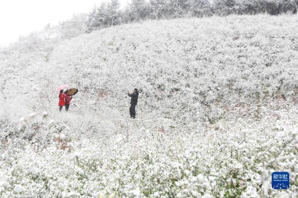 滑雪|河北崇礼：冬奥场馆降秋雪