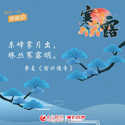 白而|今天是寒露，一起用古诗词的方式打开寒露吧！