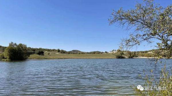 节气|寒露｜鸿雁来宾，菊有黄华