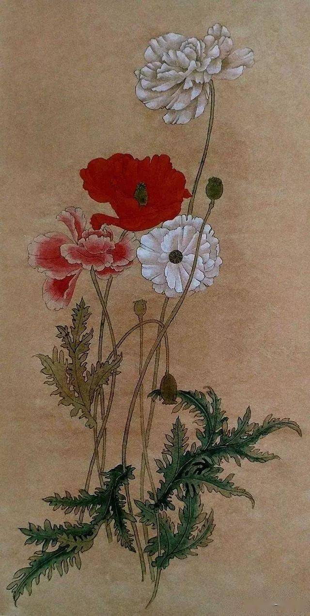 工笔画绘制示范例举(3组)_花青