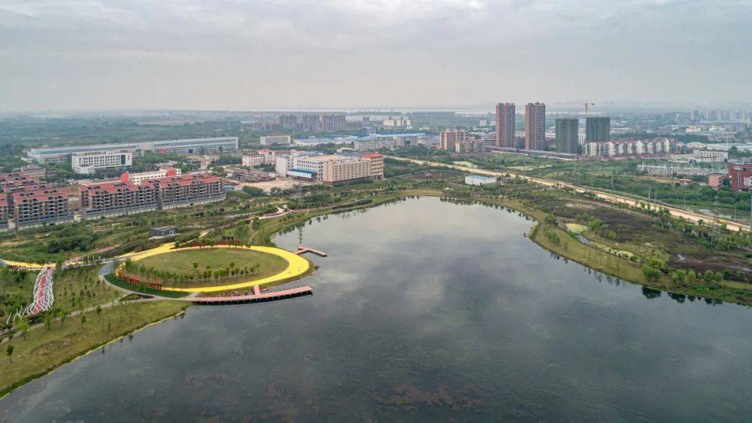 鄂州又一个湿地公园!不少人来打卡_湖区