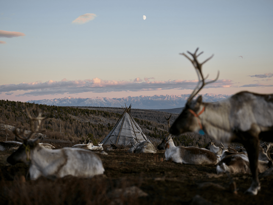 镜头下蒙古国北部的游牧生活