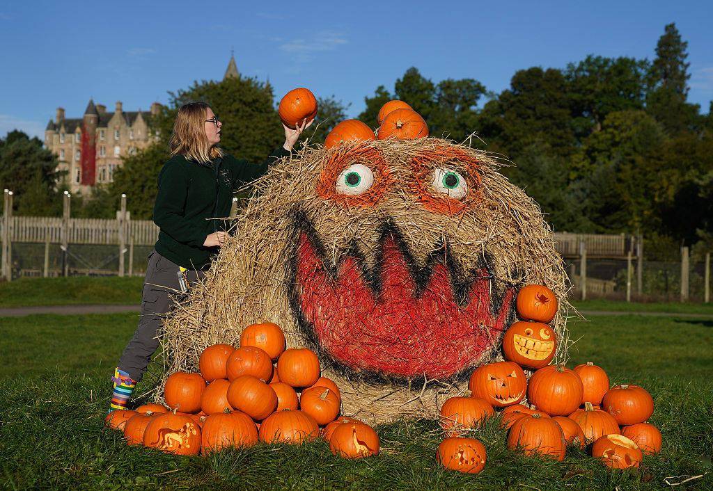 英国动物园布置南瓜 为狮子提前过万圣节