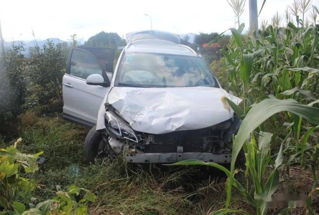 痛惜麗水2人車禍身亡