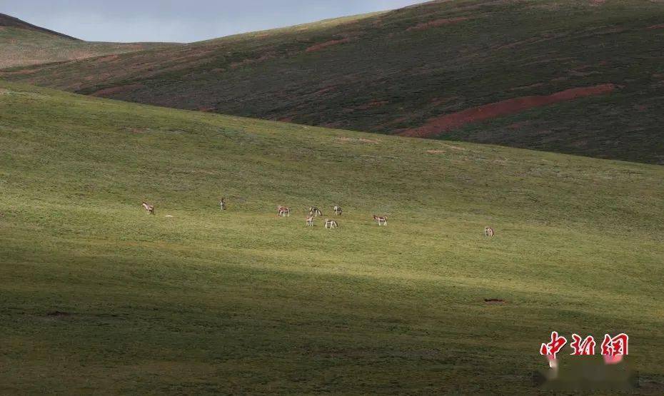 女士|格局越大的人，越懂得“藏”的智慧