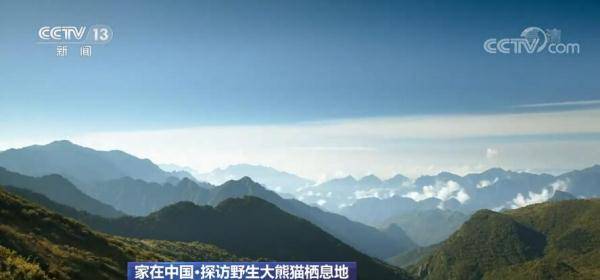 在祖国版图的西南山地,由秦岭,岷山,邛崃山和大小相岭山系构成一块