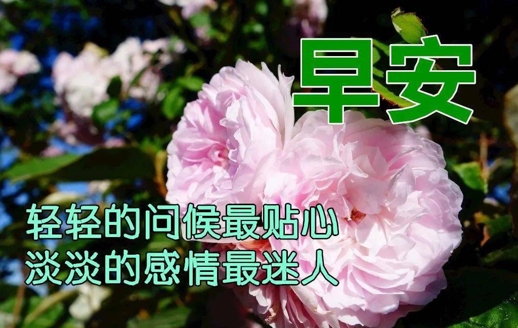 2021早上好動態祝福圖片問候朋友秋季早安的祝福句子