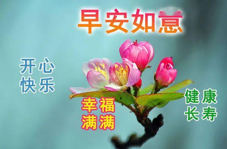 最漂亮15張早上好動圖圖片 早上好每天祝福語