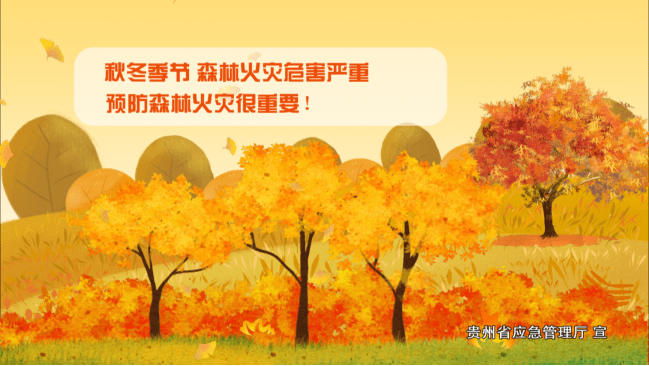 打早打小打了秋季森林防火这些知识你需要
