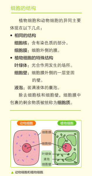 Michael钱儿频道 理科学习 想要孩子学懂会用不畏难 这个方式简单有趣对症 漫画