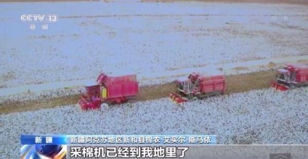 什么时候捡棉花 5ed1282290734888bc156dc6893fa71a.jpeg