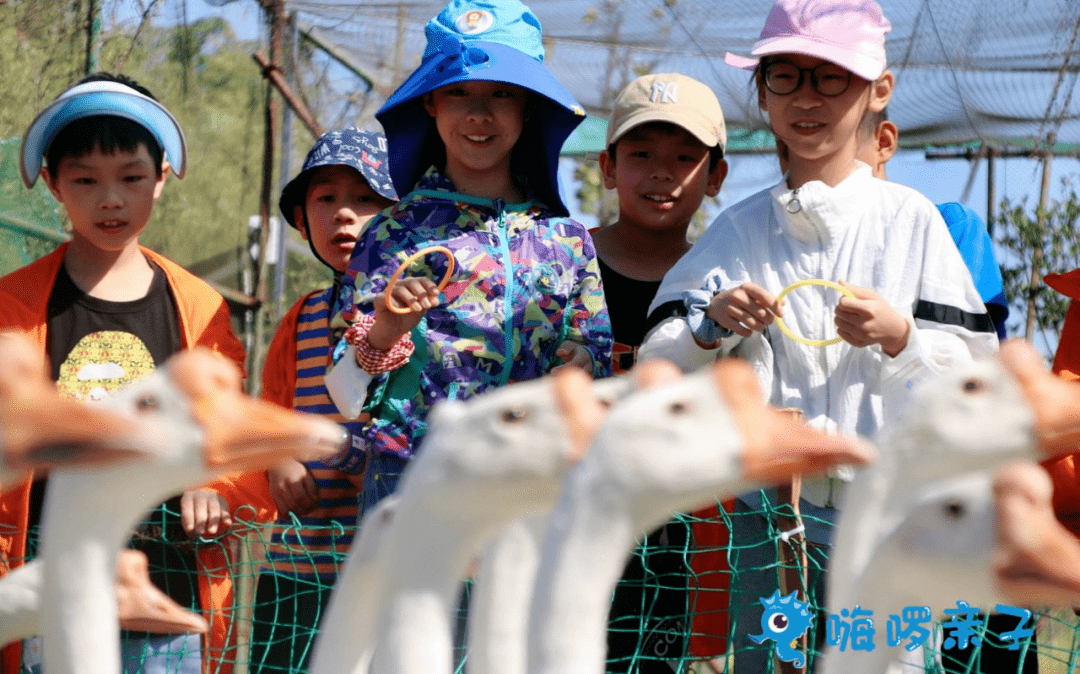 哈哈农场回顾愿所有的孩子能永远保持一颗纯真的童心有发自内心的快乐