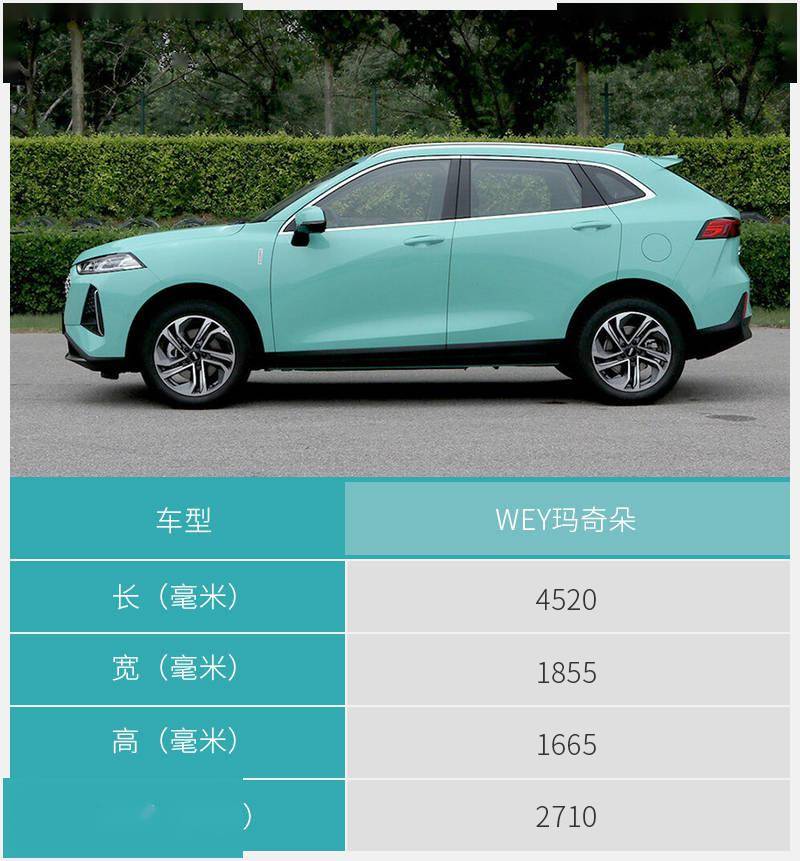 入门版车型配置够用wey玛奇朵购车手册