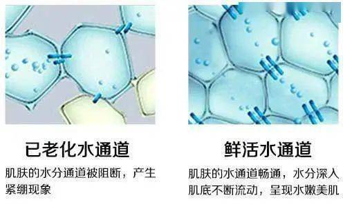 屏障护肤行业真大佬：全国皮肤科第一，一个面霜做3年，有多好用？