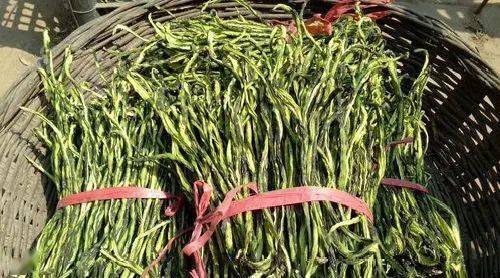 山西有看头美食篇之平定黄瓜干