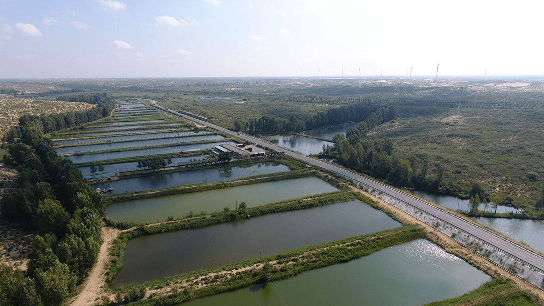 孟家湾乡:村美民富产业兴 田园乡村幸福浓