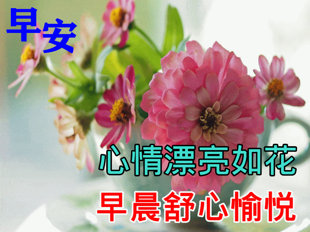 52257272714b42679dc834f126572629.gif