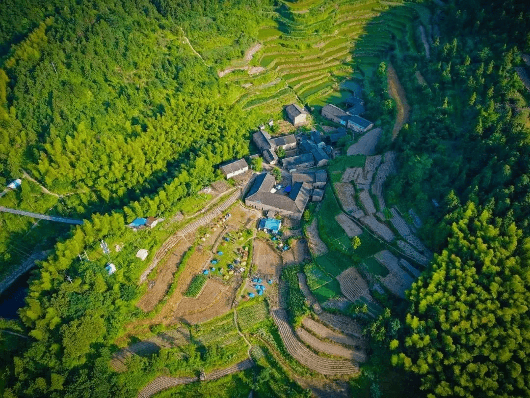 这里四面奇峰环绕,整个村庄被山峰围成了一个小小的盆地,而夏初开始