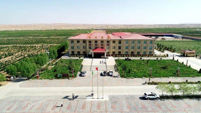 红桥庄园:酿葡萄美酒 带一方经济