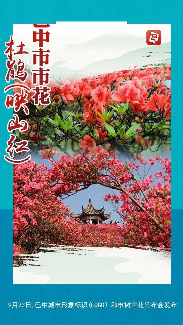 你知道巴中市花吗