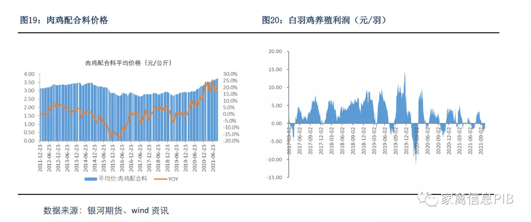 白羽肉鸡价格行情连跌又反弹,又出现新变数?(附统计数据)