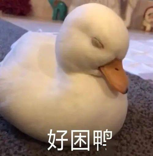 我市可申领电子驾驶证!这些"换季综合征"你中了几条?