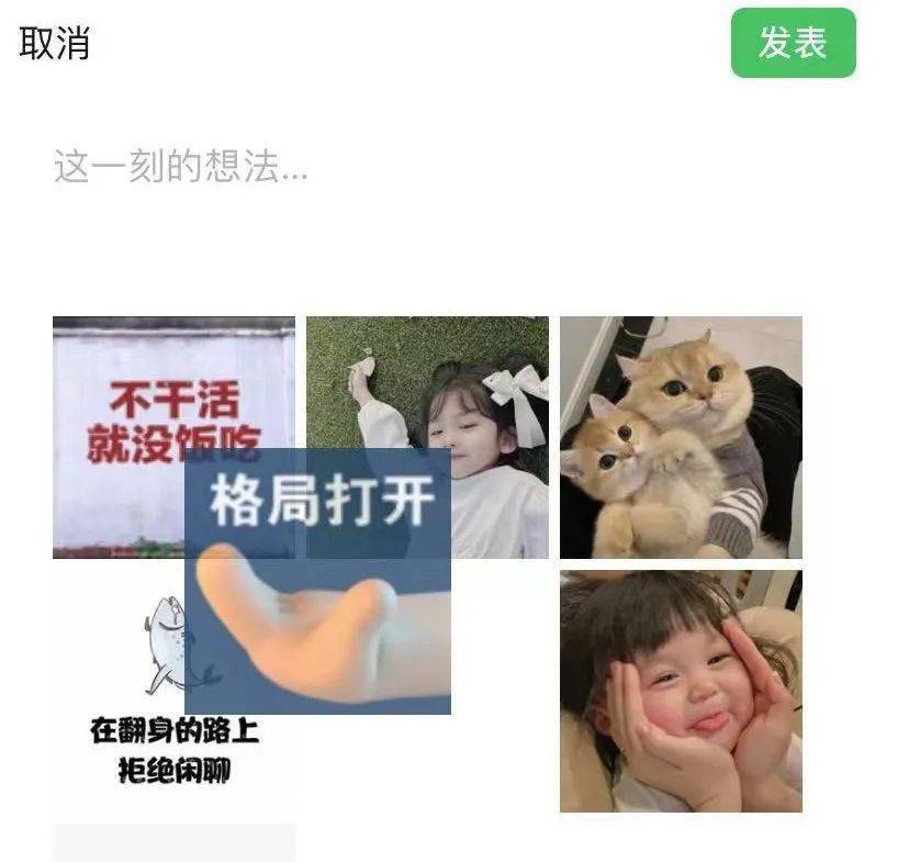 3deb516e4676432a9498be3b96f342c1.jpeg