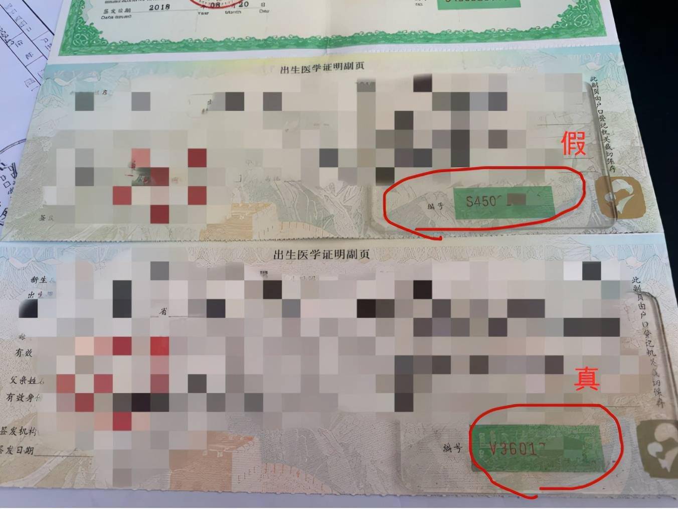 为让孙女提早入学,竟用伪造的出生证明,结果换来拘留