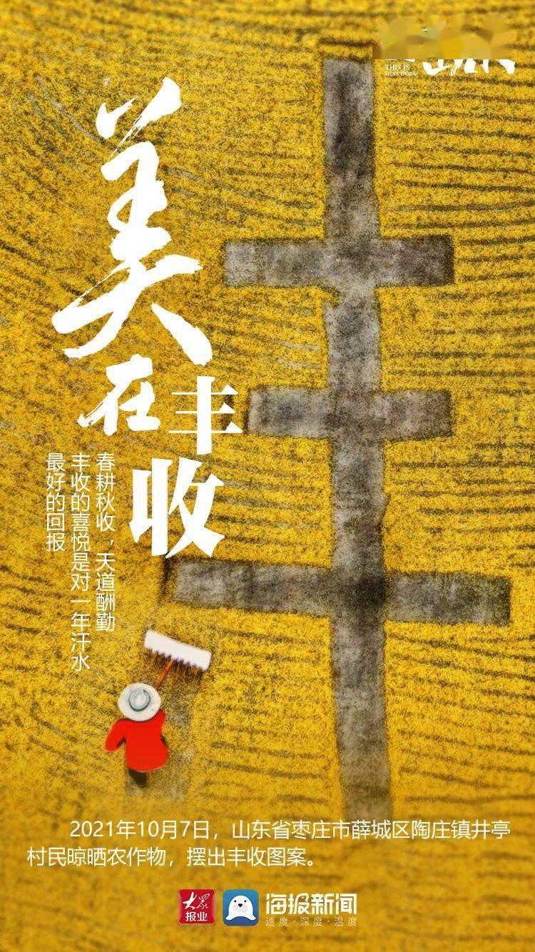 山东 这就是山东丨山东的秋天为什么这么美?