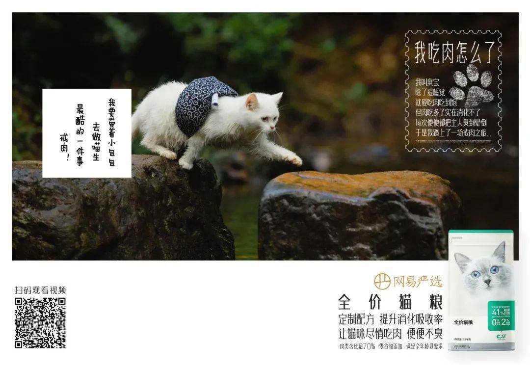 猫粮营销扎堆，网易严选凭借一部猫片强势突围？ 