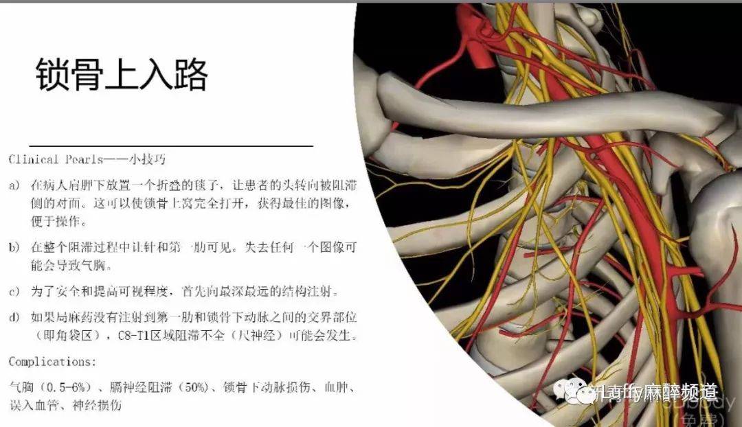 角袋部位一定注意 阻滯不到會尺神經阻滯不全稍後空閒繼續今天把鎖骨