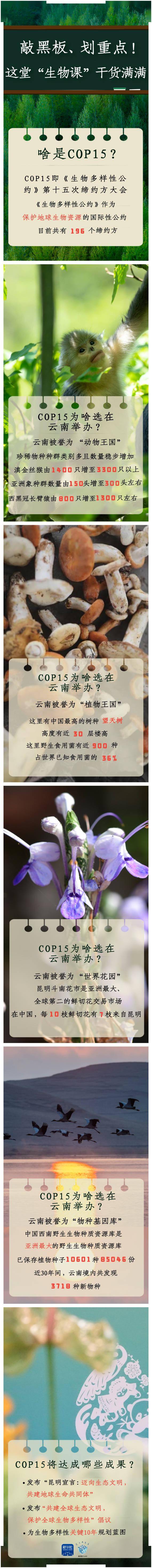 策划数巨酷CLASS丨敲黑板、划重点！这堂“生物课”干货满满