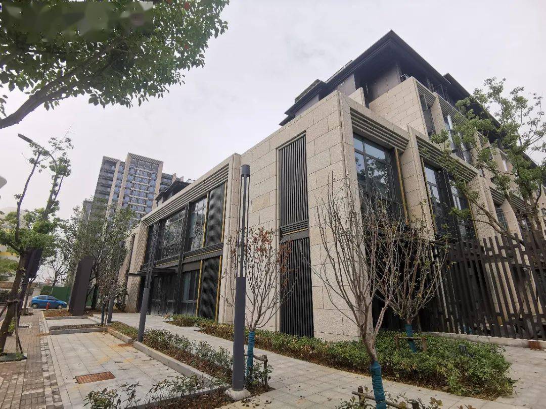 实景多图中杭府今天启动登记摇吗