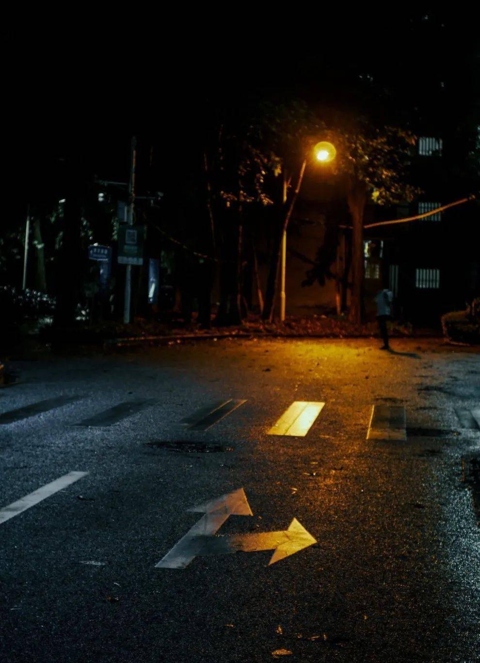 齐整排列的路灯点缀着静谧的夜照亮来往行者的夜行路在暗处,寻光影被