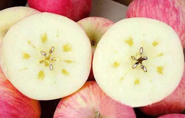 肠胃|常吃苹果的人，一定要注意这“四不吃”