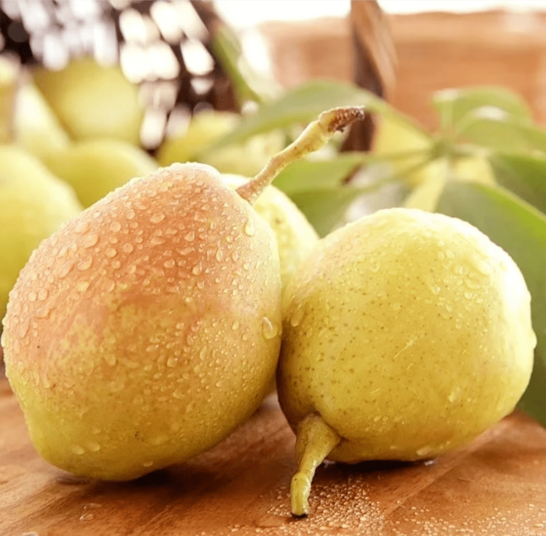 原产地直供库尔勒香梨甜蜜上市啦全国包邮脆甜多汁每一口都像在喝果汁